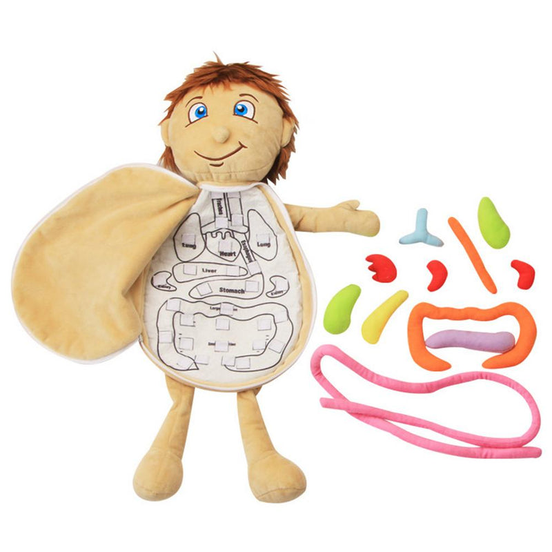 Boneco Anatomia Kids Montessori